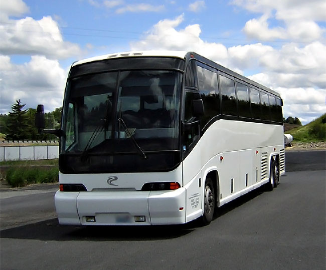 Ocoee 45 Passenger Party Bus 